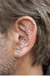 Ear texture of street references 334 0001